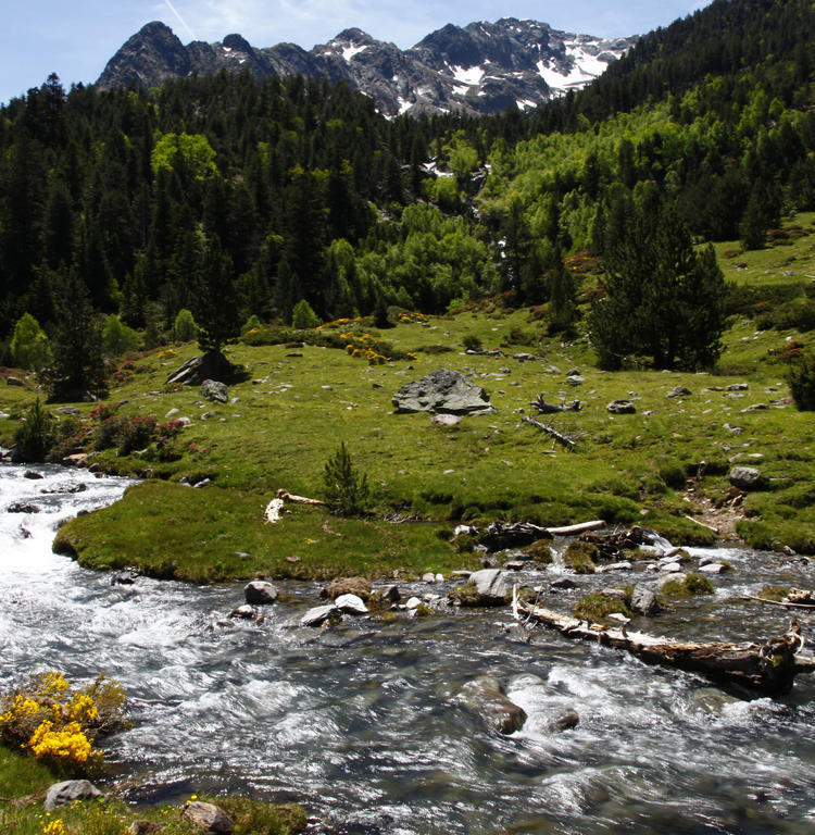 Apartaments Vall Ferrera Areu Esterno foto